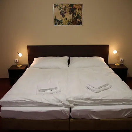 Guest house Pansky Dum 4*
