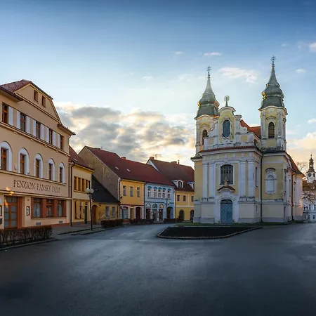 Pansky Dum Guest house 4*