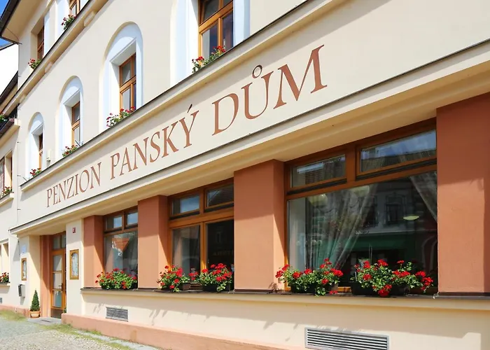 Pansky Dum ゲストハウス ロジュミタール・ポト・トジェムシーネム
