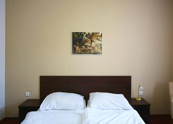 ゲストハウス Pansky Dum ロジュミタール・ポト・トジェムシーネム