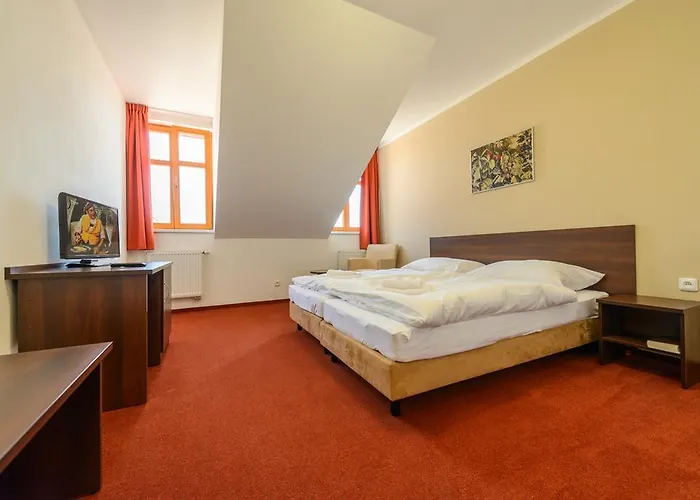 Pansky Dum ゲストハウス ロジュミタール・ポト・トジェムシーネム